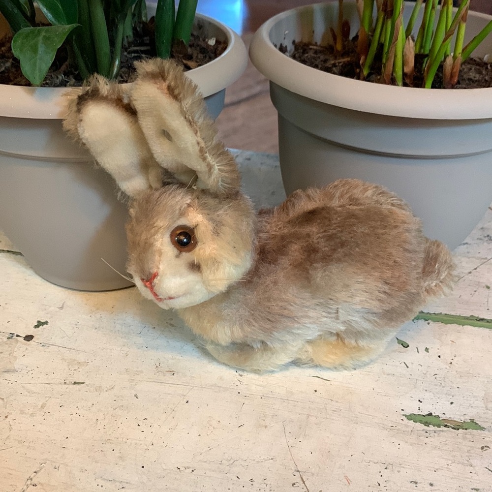 Vintage Steiff Mohair Rabbit 5”